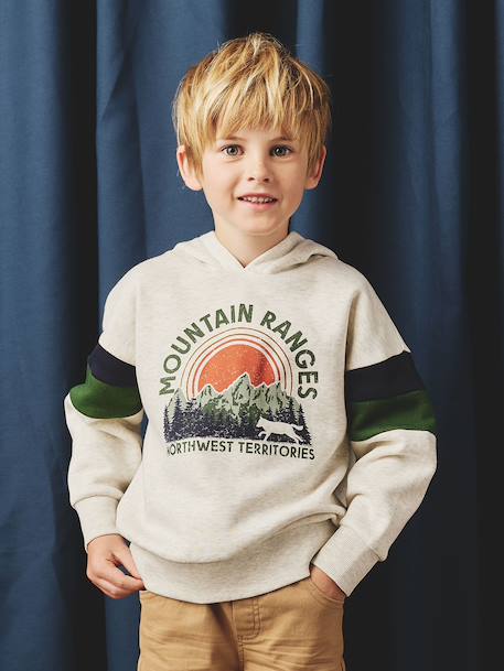 Sweater met capuchon met geplaatste print gemêleerd wit+marineblauw+pecannoot+saliegroen+wit - vertbaudet enfant 