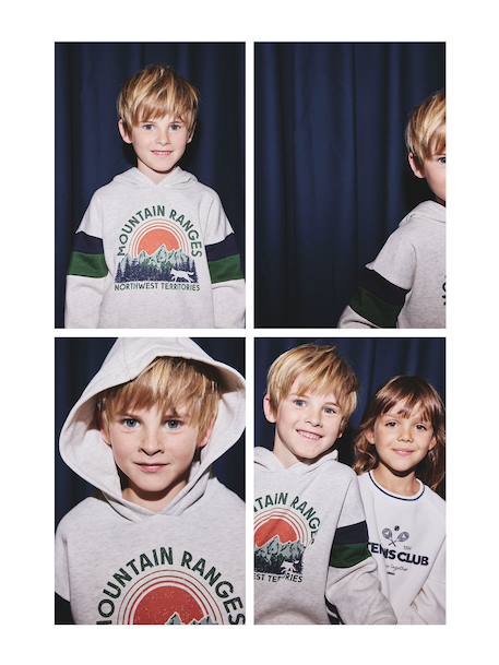 Sweater met capuchon met geplaatste print gemêleerd wit+marineblauw+pecannoot+saliegroen+wit - vertbaudet enfant 