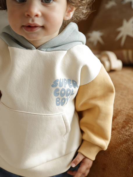 Babyset sweater met capuchon + jeans meerkleurig - vertbaudet enfant 