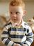 Gestreept polo t-shirt voor baby's met lange mouwen cacao+grijsblauw - vertbaudet enfant 