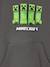 Minecraft Creeper sweater antraciet - vertbaudet enfant 