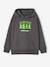 Minecraft Creeper sweater antraciet - vertbaudet enfant 