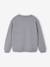 BLUEY® sweater voor jongens en meisjes gemêleerd grijs - vertbaudet enfant 