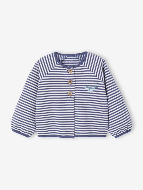Gewatteerde babypakje vestje + broek blauw+ecru - vertbaudet enfant 