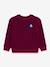 Kindersweater PETIT BATEAU rood - vertbaudet enfant 