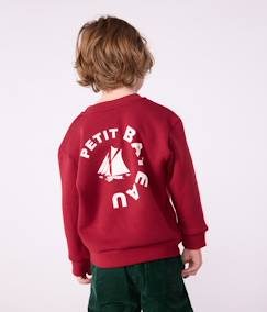 Jongens-Trui, vest, sweater-Kindersweater PETIT BATEAU