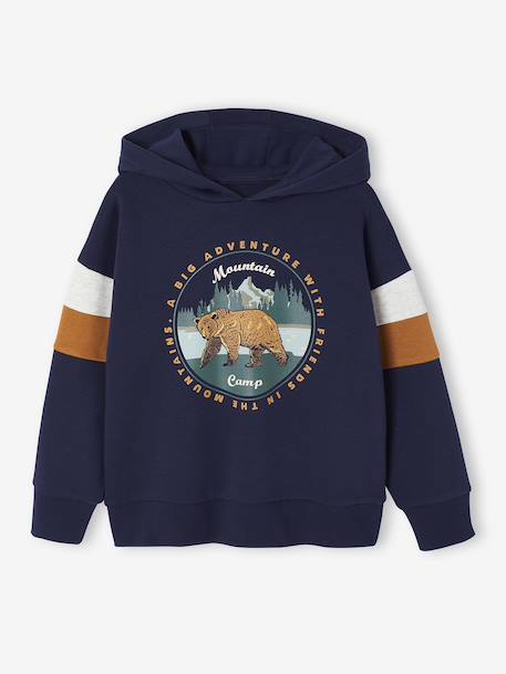 Sweater met capuchon met geplaatste print gemêleerd wit+marineblauw+pecannoot+saliegroen+wit - vertbaudet enfant 