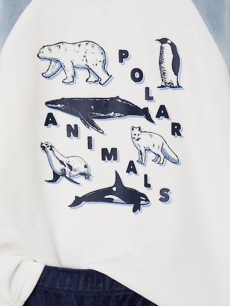 Set van 2 jongenspyjama's fluweel/velours Pooldieren hemelsblauw - vertbaudet enfant 