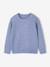 Jongenstruin BASICS in schuimsteek gemêleerd blauw+gemêleerd wit - vertbaudet enfant 