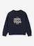Cool Team Meisje sweater Liberty stof biologisch katoen CYRILLUS blauwgroen+marineblauw - vertbaudet enfant 