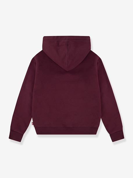 Batwing Patch Hoodie LEVI'S® sweater met capuchon bruin+ecru - vertbaudet enfant 