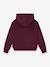 Batwing Patch Hoodie LEVI'S® sweater met capuchon bruin+ecru - vertbaudet enfant 
