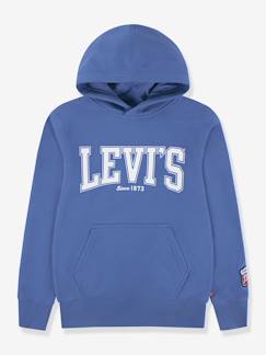-Sweater met capuchon Great Highway Hoodie LEVI'S®