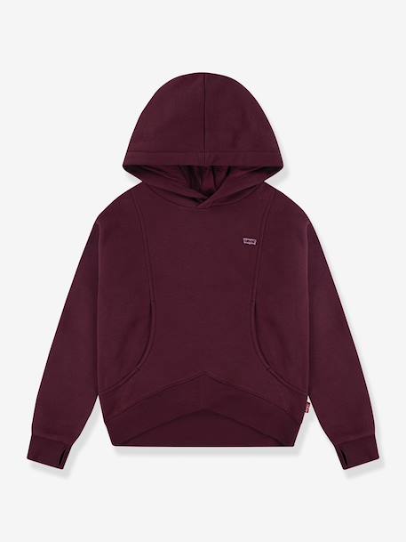 Batwing Patch Hoodie LEVI'S® sweater met capuchon bruin+ecru - vertbaudet enfant 