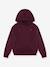 Batwing Patch Hoodie LEVI'S® sweater met capuchon bruin+ecru - vertbaudet enfant 