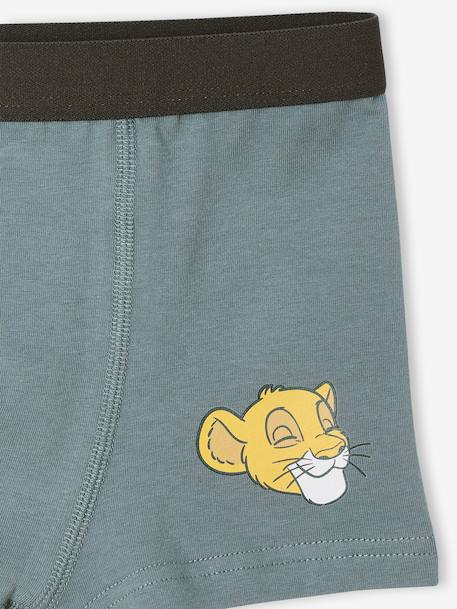 Set van 5 boxershorts Disney® ROI LION korstmos - vertbaudet enfant 