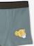 Set van 5 boxershorts Disney® ROI LION korstmos - vertbaudet enfant 