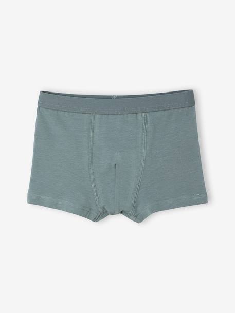 Set van 5 boxershorts Disney® ROI LION korstmos - vertbaudet enfant 