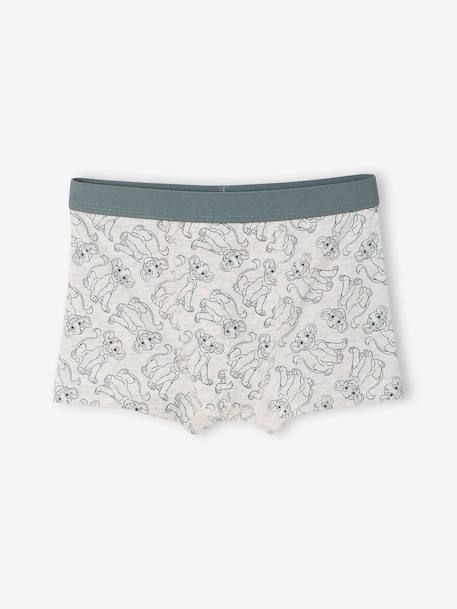 Set van 5 boxershorts Disney® ROI LION korstmos - vertbaudet enfant 