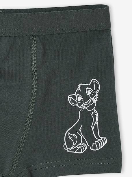 Set van 5 boxershorts Disney® ROI LION korstmos - vertbaudet enfant 