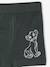 Set van 5 boxershorts Disney® ROI LION korstmos - vertbaudet enfant 