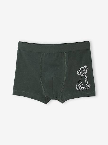 Set van 5 boxershorts Disney® ROI LION korstmos - vertbaudet enfant 