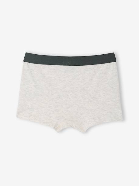 Set van 5 boxershorts Disney® ROI LION korstmos - vertbaudet enfant 