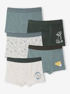 -Set van 5 boxershorts Disney® ROI LION