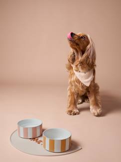 -Keramische voerbak voor honden FAMILY