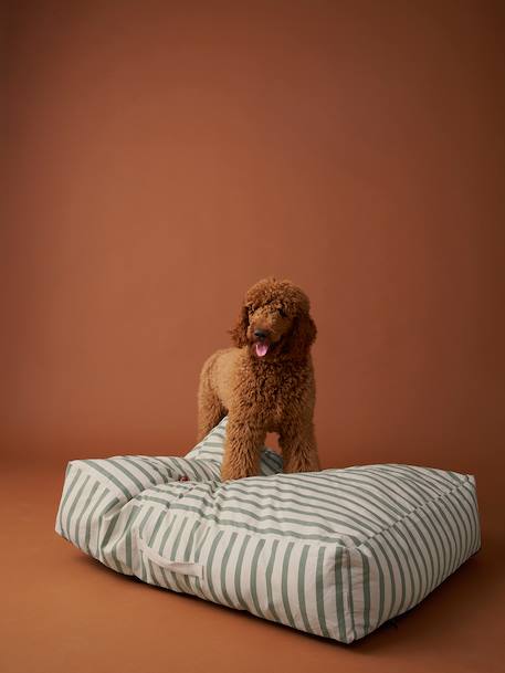 XXL matras voor honden FAMILY groen, gestreept - vertbaudet enfant 