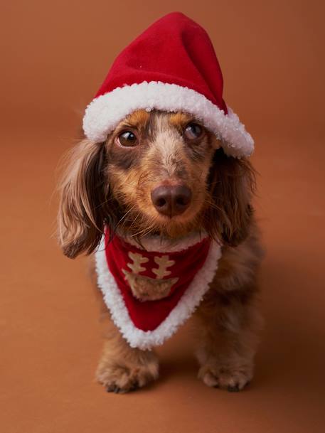 Bandanaslabbetje + kerstmuts voor de hond FAMILY rood - vertbaudet enfant 
