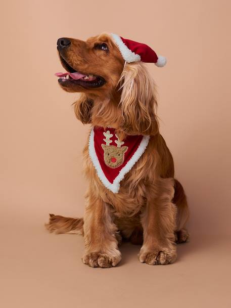 Bandanaslabbetje + kerstmuts voor de hond FAMILY rood - vertbaudet enfant 