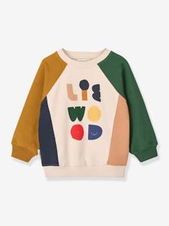 Sweater met Aude-motief  - vertbaudet enfant