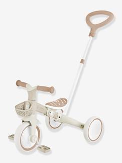Speelgoed-Loopwagen Learning Trike - Driewieler 2 in 1 - GLOBBER