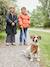 Donsjack met capuchon, fleecevoering en wanten of handschoenen amber+dennen - vertbaudet enfant 