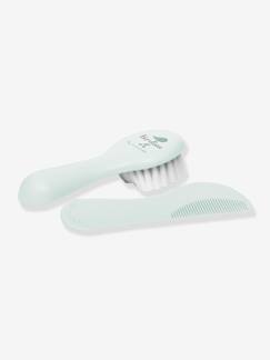 Verzorging-Verzorging en hygiëne-Set kam en borstel